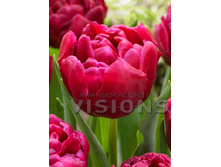 24,41���. ������� ����� ����(��� 7 ��. ���������� ������ 3 ��� 4 ��.)���16.jpg