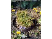 IMG 20160424 121912.jpg