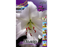 47,78���. ����� �����(�������� ���� �� 5 ��., ����������� ����� 1��.).jpg