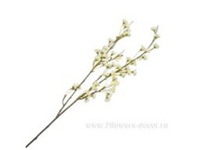 4606500567447 ����� ������������� ���������, 76�� 144 463,45.jpg