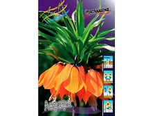 118,7���. ����������� ������(�������� ���� �� 2 ��., ����������� ����� 1��.).jpg