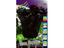 18,5���. ������� ���� ������(��� 10 ��. ���������� ������ 5��.).jpg