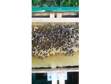 20160528 170457[1].jpg