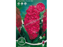 ������� ���.jpg