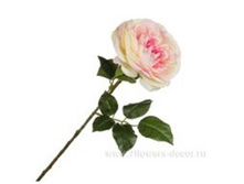 4606500502110 ������ ������������� ���� ����� �����, 61 �� 120 356,5.jpg