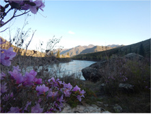 DSCN1513.jpg