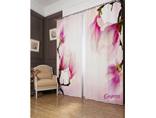 02004  "������ �������"