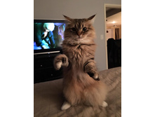 ������ �� �� ������ ��������� ��� ���� ���?