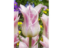 29,1���. ������� ������� ����(��� 7 ��. ���������� ������ 3 ��� 4 ��.)���16.jpg