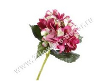 3760169244956 ������ ������������� ���������, 50�� 72 466,9.jpg