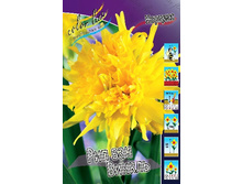 18,5���. ������� ��� ��� ������(��� 10 ��. ���������� ������ 5��.).jpg