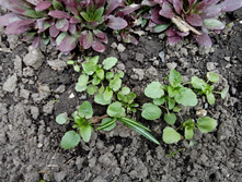 IMG 20160416 135646.jpg