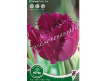 ������� ���� ���.jpg