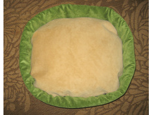 IMG 7288.JPG
