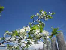 ����� 012.jpg