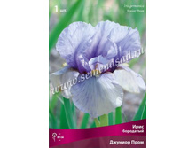 ���� ��������� ������� ����.jpg