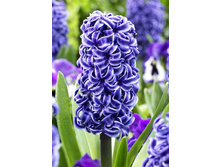 22,94���. ������� ��������(��� 5 ��. ���������� ������ 2 ��� 3 ��.).jpg