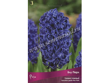 ������� ������� ��� ����.jpg