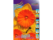 28,16���. ������� �����(��� 7 ��. ���������� ������ 3 ��� 4 ��.).jpg