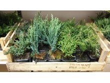 �������� ��� �������� �� ����� ��������� (�������� � ����������� � �������)