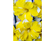 33,79���. ������� ������ �������(��� 7 ��. ���������� ������ 3 ��� 4 ��.)���16.jpg