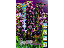 132,75���. ����������� �������(�������� ���� �� 2 ��., ����������� ����� 1��.).jpg