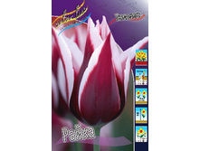 19,43���. ������� �����(��� 10 ��. ���������� ������ 5��.).jpg