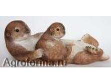 ����� � ��������� (���������)