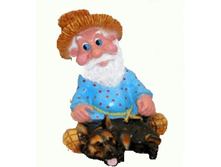 ��������� � ��������