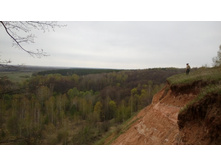 IMG 20160501 133212.jpg