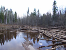 �.����. ������ ����.