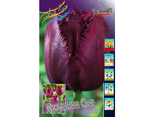 19,43���. ������� �������� ���(��� 10 ��. ���������� ������ 5��.).jpg