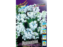 4,77���. �������� ���������(���������� ������ ������ ���������� �� 15 ��.).jpg