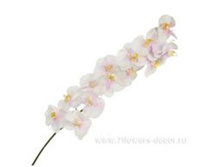 4606500502332 ������ ������������� ���������� ������, 145�� 24 1541.jpg