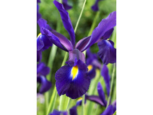 11���. ���� ����. ������� �����(���������� ������ ������ ���������� �� 10 ��.).jpg