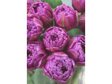 20,37���. ������� ���� ����(��� 10 ��. ���������� ������ 5��.)���15.jpg