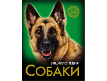 1448449076 5d23b68e26d212b4560a42fac2a7edac.png