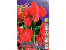 16,62���. ������� ����� ��� �����(��� 10 ��. ���������� ������ 5��.).jpg