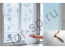 ��������� ����� �� ����_290 ���+%