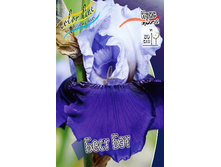 91,55���. ���� ���������� ���� ���(�������� ���� �� 2 ��., ����������� ����� 1��.).jpg