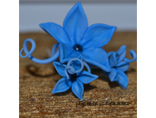 ������� ��� ����� ������� �����