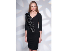 ������ ������� ZAPS (ZENIA)-250 ���