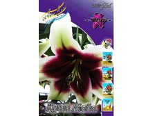 84,66���. ����� ����-����(�������� ���� �� 5 ��., ����������� ����� 1��.).jpg