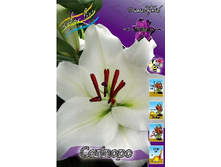 24,06���. ����� �������(��� 5 ��. ���������� ������ 2 ��� 3 ��.).jpg