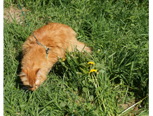 DSC08418.JPG