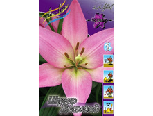 20,9���. ����� ����� �������(��� 7 ��. ���������� ������ 3 ��� 4 ��.).jpg