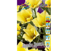 9,13���. ������� ����� ����(���������� ������ ������ ���������� �� 10 ��.).jpg