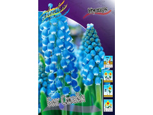 9,88���. ������� ��� �����(���������� ������ ������ ���������� �� 10 ��.).jpg