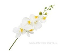 3661864020923 ������ ������������� ����������, 100c� 96 456,55.jpg