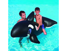 ������� �����. 41009 ������� � ����. 203�102�� 575,01 �.